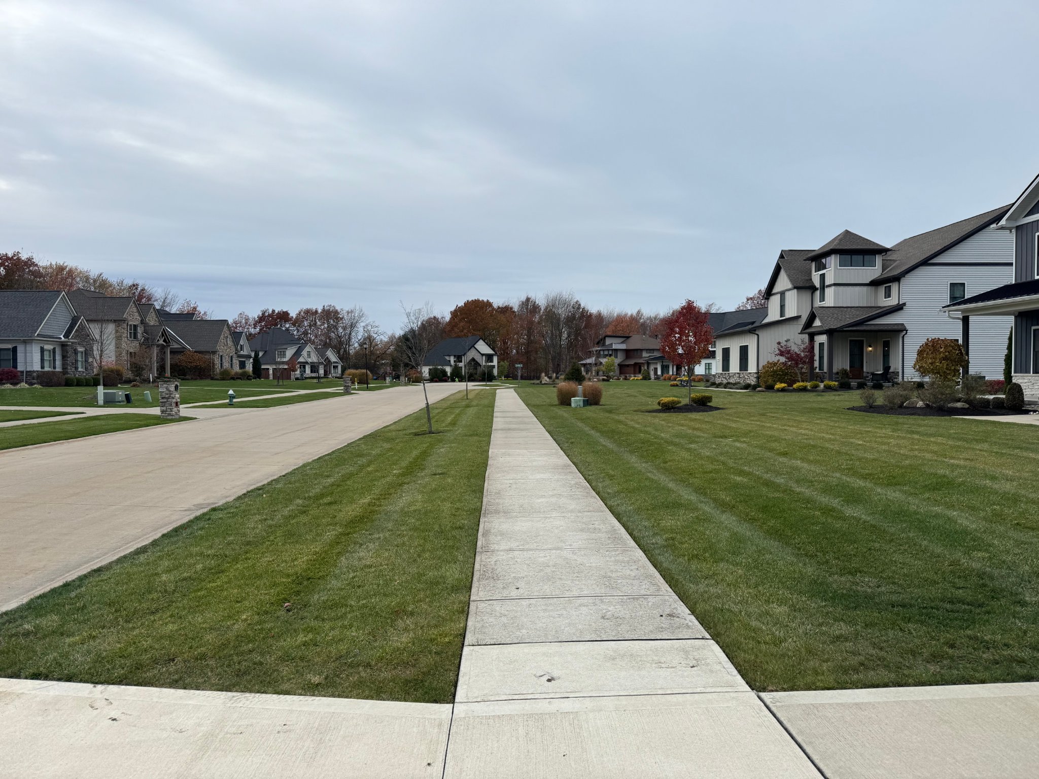 Perfectly mowed neighborhood lawns